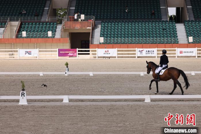 第十五届全运会马术三项赛资格赛首日：江苏队